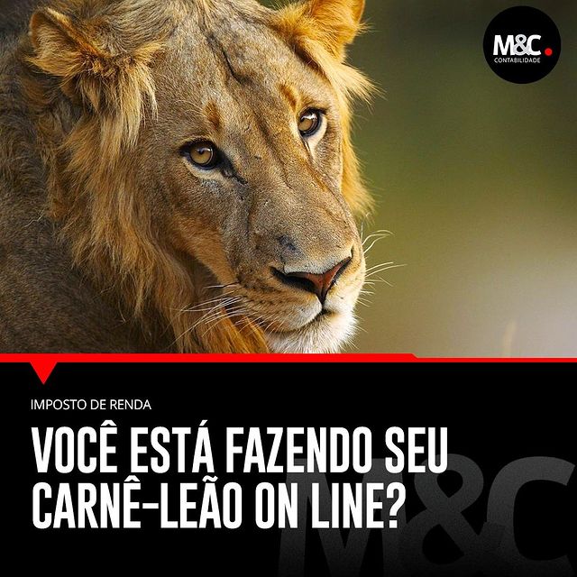 Você está fazendo seu carnê-leão on line?