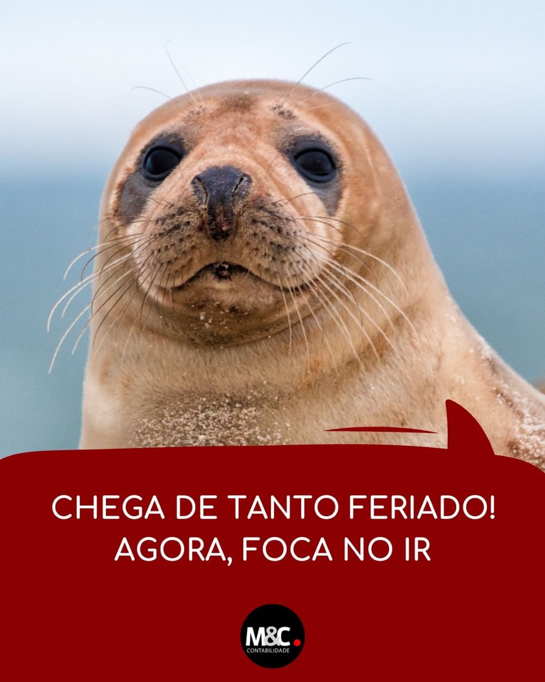 Chega de tanto feriado! Agora, foca no IR